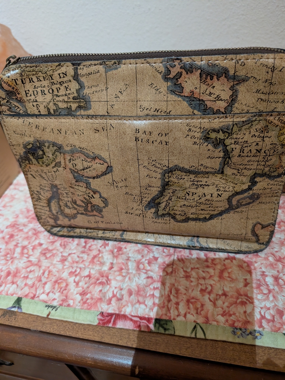 Patricia Nash Tan Brown Map-Print Crossbody Pouch